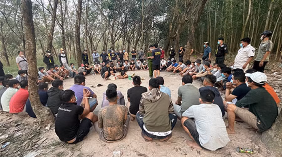 Hàng chục đối tượng đánh bạc bằng hình thức đá gà bị tạm giữ để điều tra. 