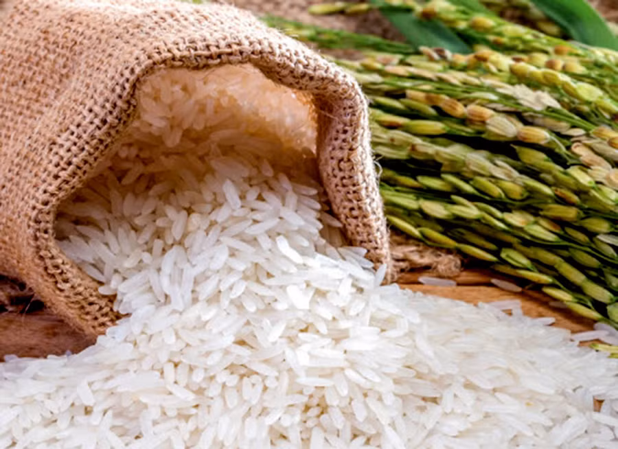 Giá trị lao động là thước đo cho những cố gắng của người nông dân trên cánh đồng lúa. Giá trị lao động là thước đo cho những cố gắng của người nông dân trên cánh đồng lúa.