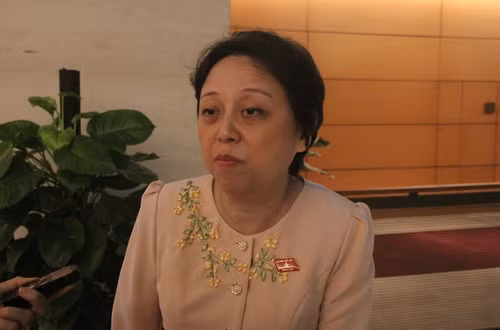 Đại biểu Phạm Khánh Phong Lan - đoàn TP Hồ Chí Minh