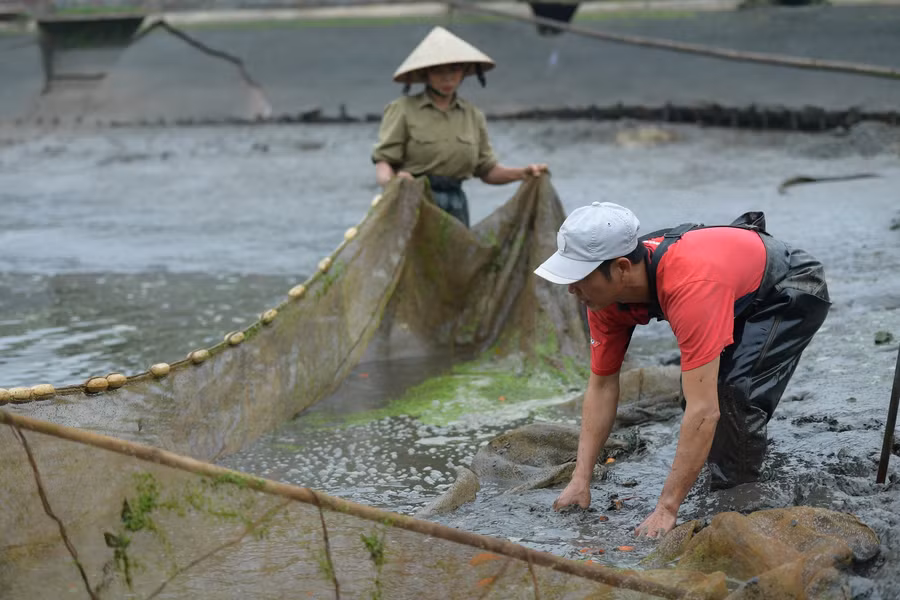 Làng cung cấp "phương tiện" cho ông Công, ông Táo ảnh 3