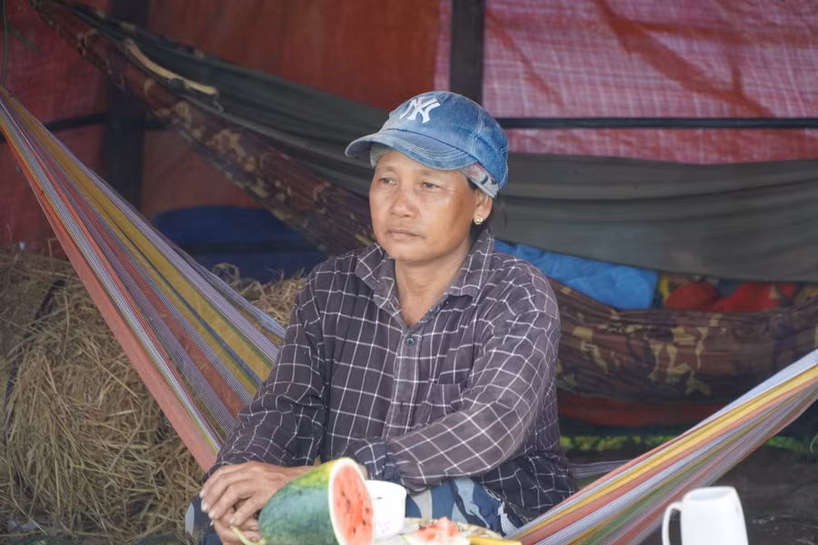 Người dân thất thần nhìn ruộng dưa ngập trong nước.