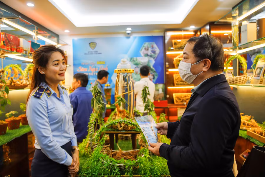 Trong đó, gian trưng bày chính, sẽ giới thiệu đến người tiêu dùng củ sâm Ngọc Linh Kon Tum tươi và một số loại sâm củ tươi khác...