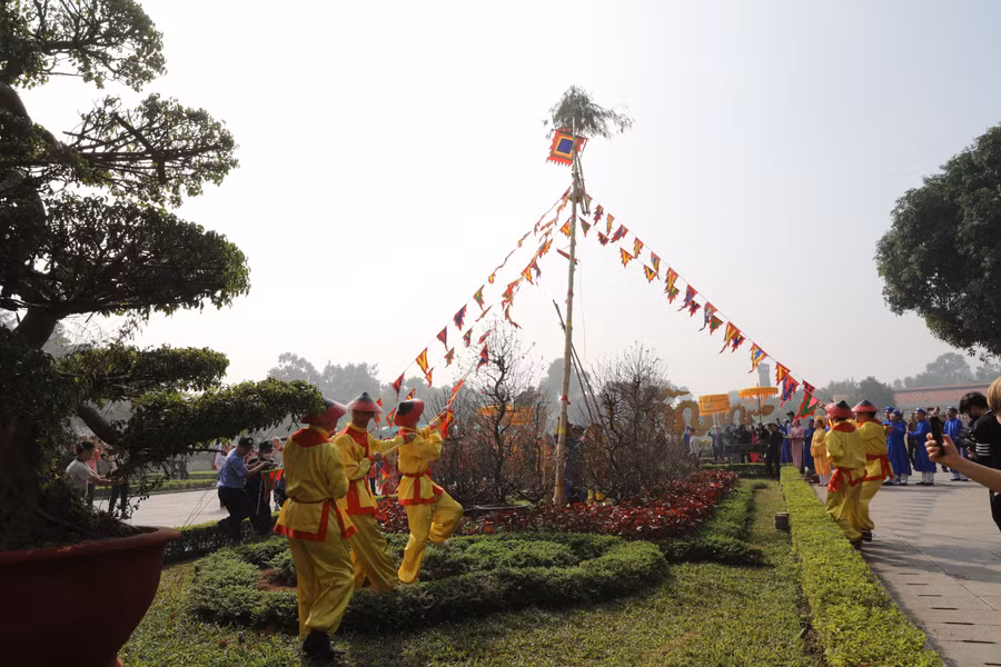 Cây nêu được dùng là loại tre đực cao, to, được chặt sạch các cành, chỉ để lại trên ngọn có nhánh lá.