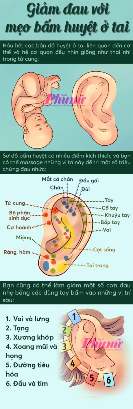Giam dau voi meo bam huyet o tai - Anh 1