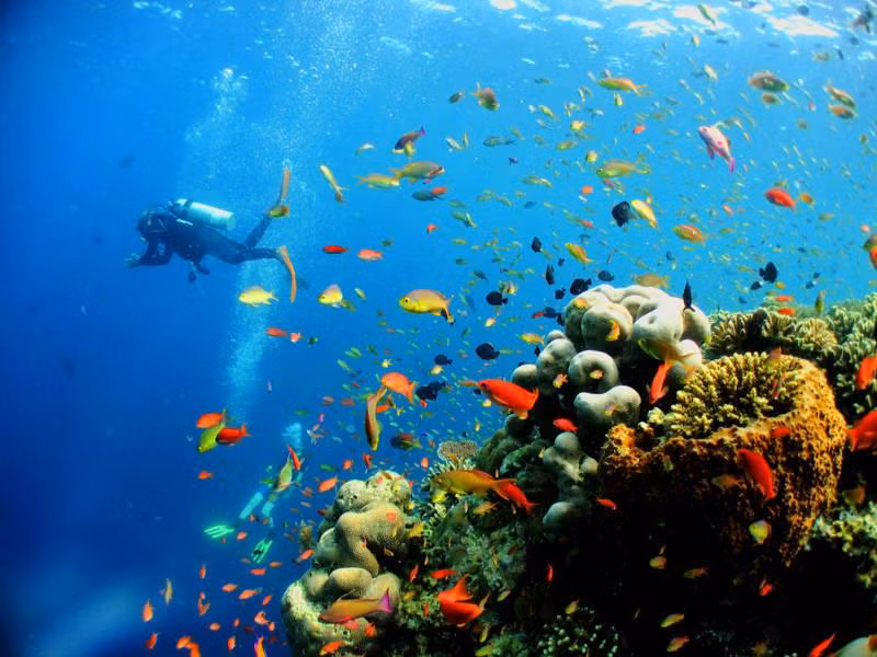 Vẻ đẹp khu bảo tồn biển Hòn Mun Nha Trang.