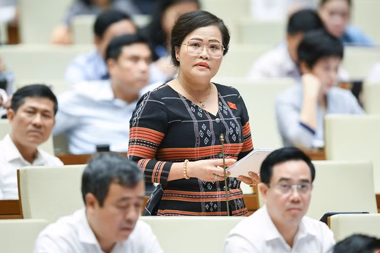 Đại biểu Nguyễn Thị Sử (Đoàn ĐBQH tỉnh Thừa Thiên - Huế). Đại biểu Nguyễn Thị Sử (Đoàn ĐBQH tỉnh Thừa Thiên - Huế).