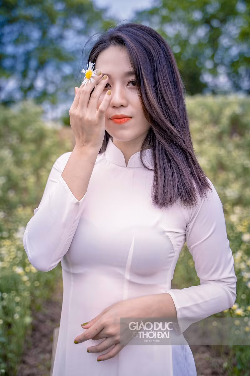 Giới trẻ thích thú chụp ảnh tại vườn cúc họa mi nở sớm nhất Hà Nội ảnh 5