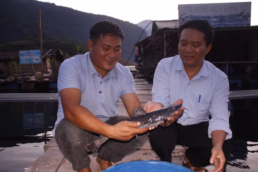Cá lăng, cá chiên là 2 loại cá đặc sản, có giá trị kinh tế cao được các HTX, người dân nuôi nhiều, tạo nên thương hiệu cá trên thượng nguồn sông Đà.