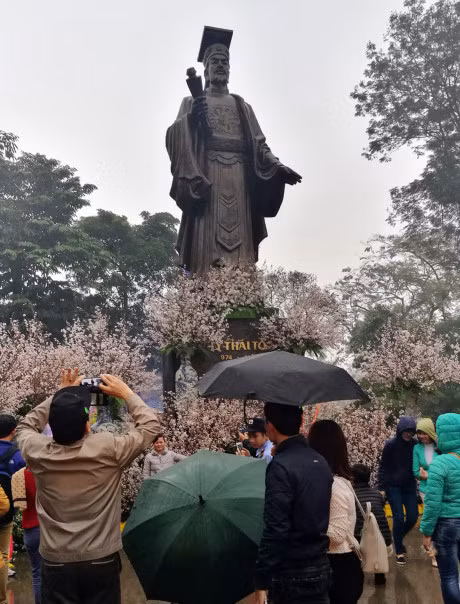 Nghin nguoi doi mua ngam hoa anh dao o Ha Noi - Anh 6