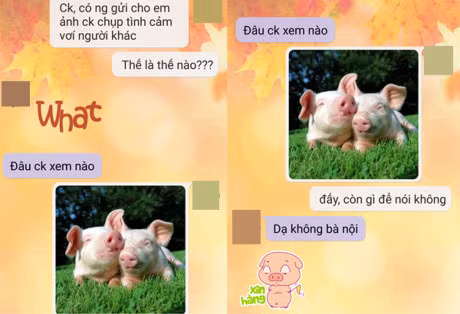 Cuoi 