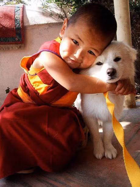 Hay cho tre nuoi thu cung de co duoc hanh phuc 