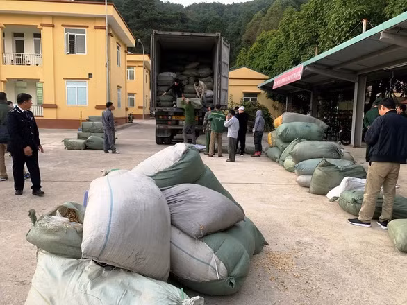 Số lượng lớn thuốc bắc lậu bị cơ quan chức năng thu giữ.