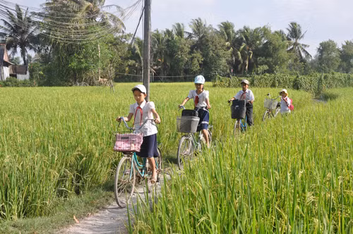 Học sinh tiểu học xã Bình Phục Nhứt (huyện Chợ Gạo) đến trường. Ảnh: Hữu Chí/baoapbac.vn Học sinh tiểu học xã Bình Phục Nhứt (huyện Chợ Gạo) đến trường. Ảnh: Hữu Chí/baoapbac.vn