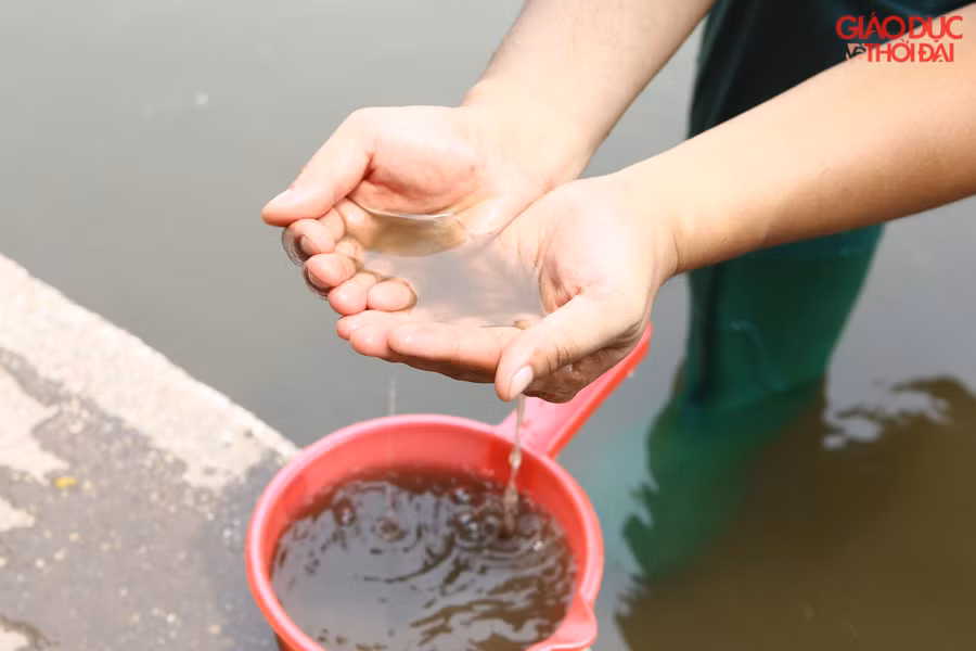 Kết quả sau 1 tháng rất bất ngờ cho kể cả với chuyên gia Nhật Bản có mặt Kết quả sau 1 tháng rất bất ngờ cho kể cả với chuyên gia Nhật Bản có mặt