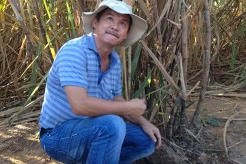 Đại gia bất động sản lánh nạn bằng trồng mía, nuôi thủy sản