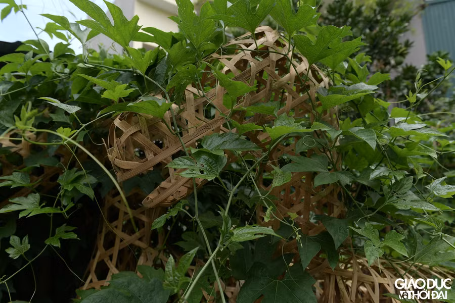 Vật liệu nằm tại nhiều nơi do không thể đưa vào sản xuất.