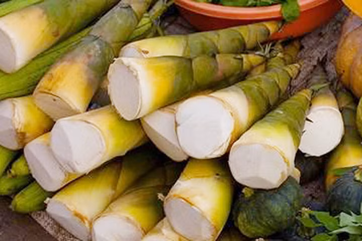 Những người nào tuyệt đối không được ăn măng tươi?