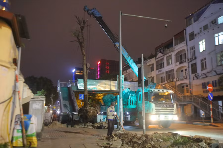 Việc di dời hàng cây nằm trong giai đoạn 1 của dự án xây cầu vượt tại nút giao Chùa Bộc - Phạm Ngọc Thạch.