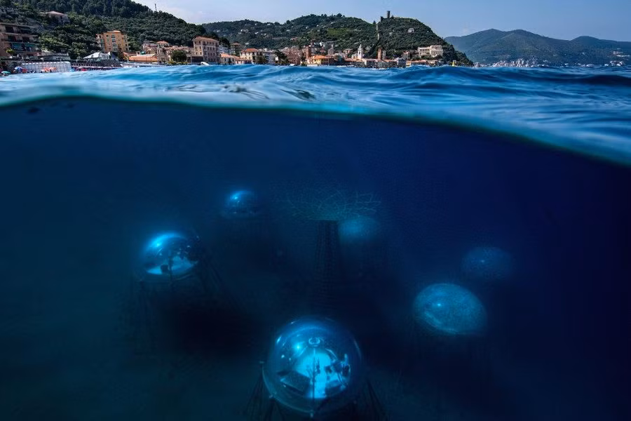 Nemo's Garden cách làng Noli ở vùng Liguria (Ý) một trăm ba mươi mét ngoài khơi. Ảnh: Giacomo d'Orlando.