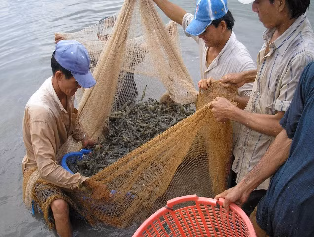 Nuôi cá tôm trước áp lực nguyên liệu đắt đỏ