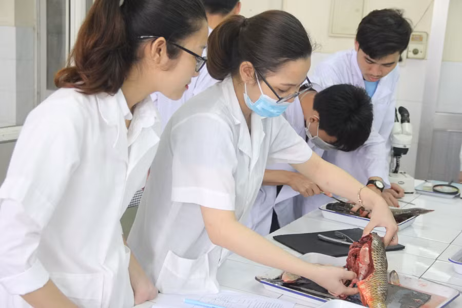 Sinh viên Trường ĐH Sư phạm (ĐH Thái Nguyên) trong giờ thực tập - thời điểm chưa có dịch Covid-19. Ảnh: TG.