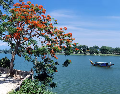 Tôi sẽ về sông nước của quê hương Tôi sẽ về sông nước của tình thương. (ảnh: Internet)