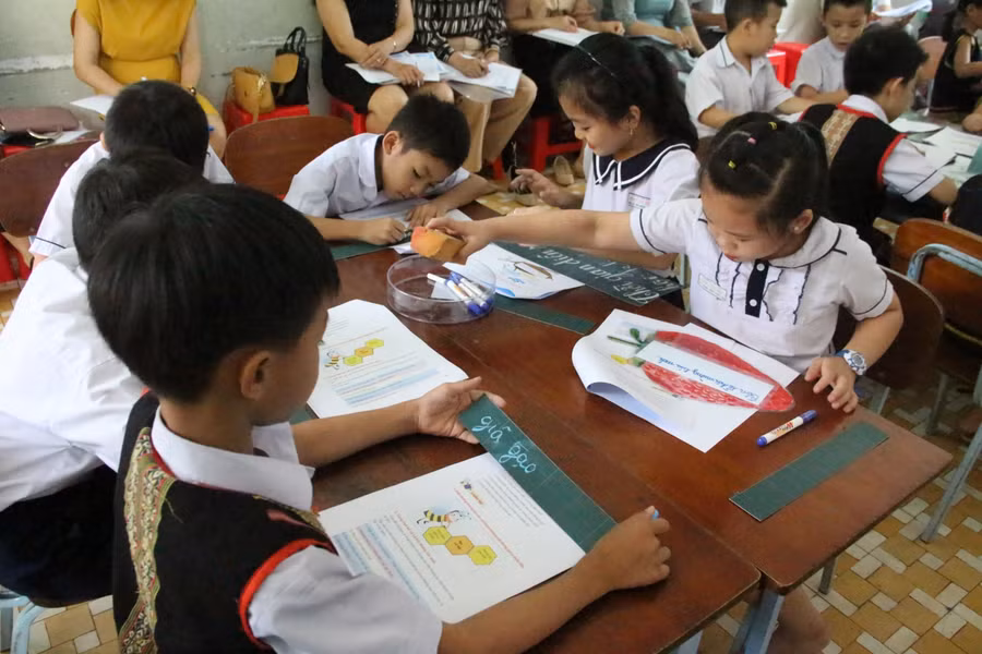 Học sinh lớp 2 hào hứng, say sưa tìm hiểu về Lễ hội mừng lúa mới.