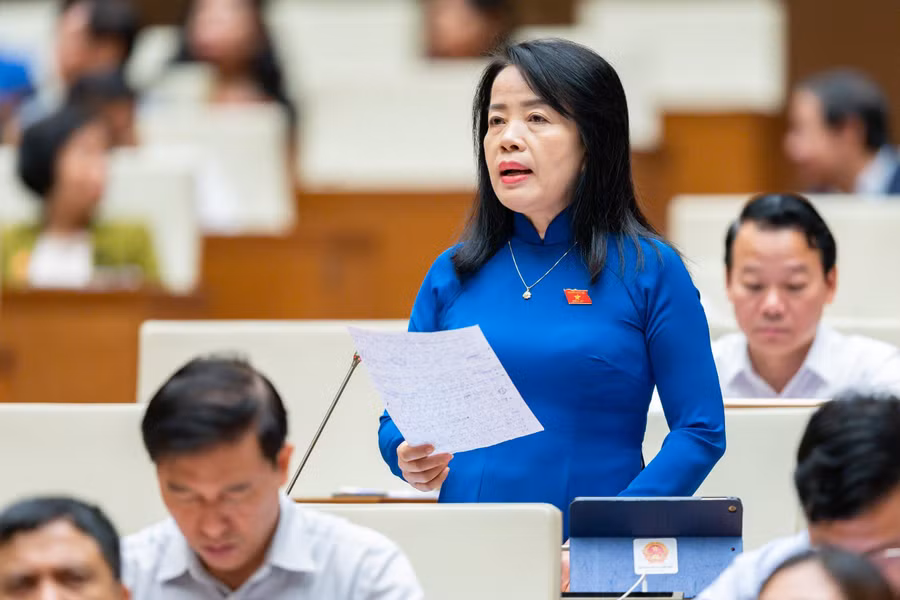 Đại biểu Nguyễn Thị Kim Thúy - Đoàn ĐBQH thành phố Đà Nẵng.
