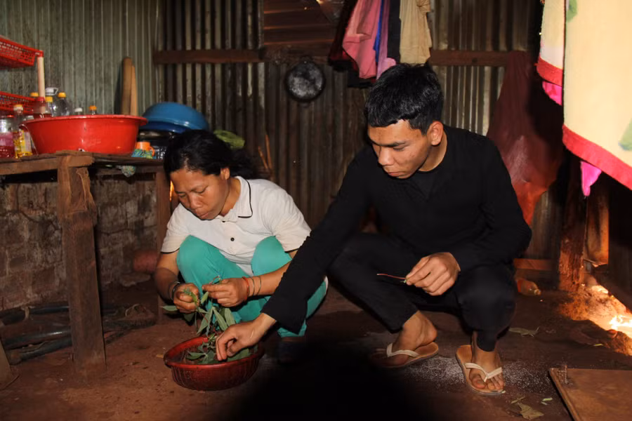 Ksor Hương hái lá mì để muối chua cho mẹ làm thức ăn vào những ngày em đi học vắng nhà.