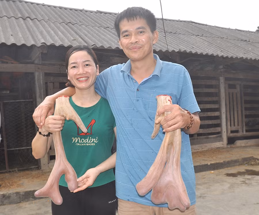 Vợ chồng anh Nguyễn Văn Bằng hết sức phấn khởi trước thành quả lao động của mình.
