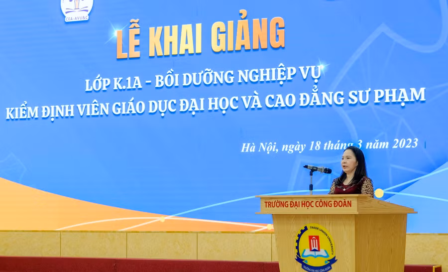 PGS.TS Nguyễn Phương Nga - Giám đốc CEA-AVU&amp;C chia sẻ tại lễ khai mạc.