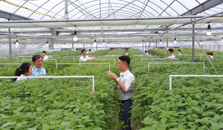 Sinh viên Học viện Nông nghiệp Việt Nam tại vườn thực nghiệm.