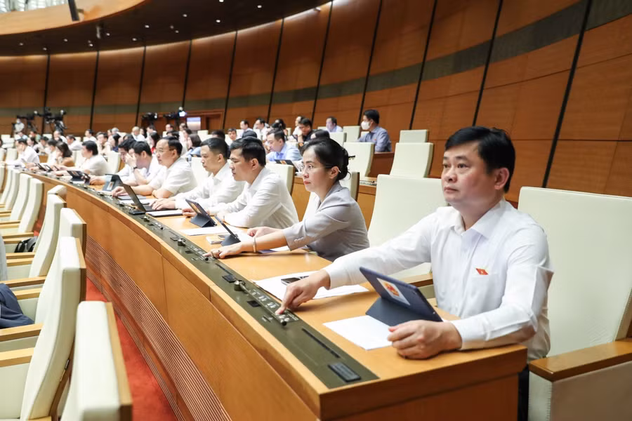 Các đại biểu biểu quyết