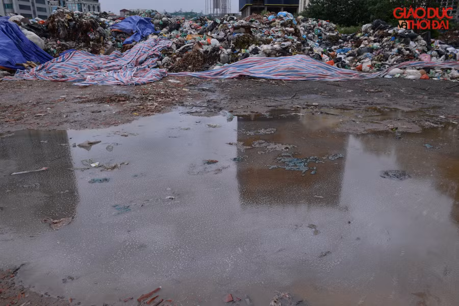 Những ngày nắng thì mùi khó chịu, còn những ngày mưa thì nước rác chảy ra khắp nơi