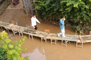 Chiếc cầu được bắc từ tình thương và tinh thần trách nhiệm với học trò.