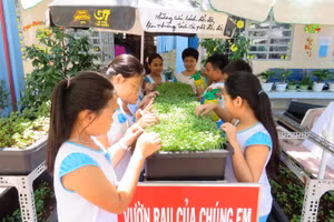 Học sinh có mùa hè vui tươi, bổ ích trước khi bước vào năm học mới.