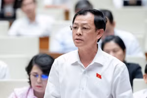 Đại biểu Nguyễn Tri Thức.
