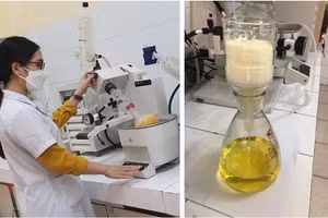 Một số hình ảnh về quá trình tổng hợp Nitazoxanide tại Viện Hóa học.