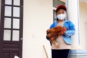Nguồn: Infornet.