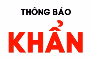 Ảnh minh họa.
