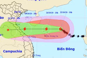 Sơ đồ dự báo bão số 8.