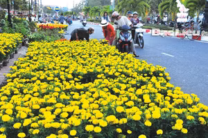 Ảnh minh họa.