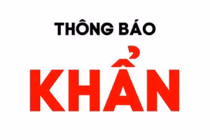 Ảnh minh họa.