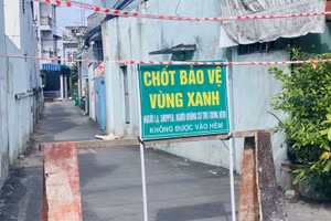 Ảnh minh họa.