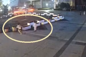 Video: Bắt chước clip trên mạng để nổi tiếng, thanh niên bị cảnh sát tạm giữ