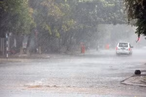 Ảnh minh họa.