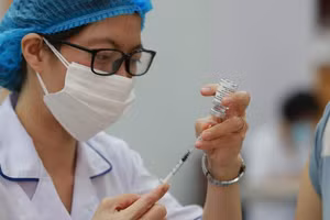 Ảnh minh họa.