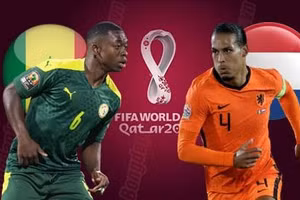 Siêu máy tính’ dự đoán Hà Lan giành chiến thắng trước Senegal.