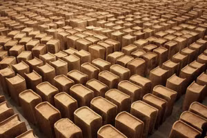 1.000 tác phẩm “Sách Từ Điển”.
