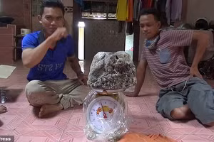 Ra khơi tay trắng trở về, ngư dân bất ngờ phát hiện báu vật mắc trong lưới